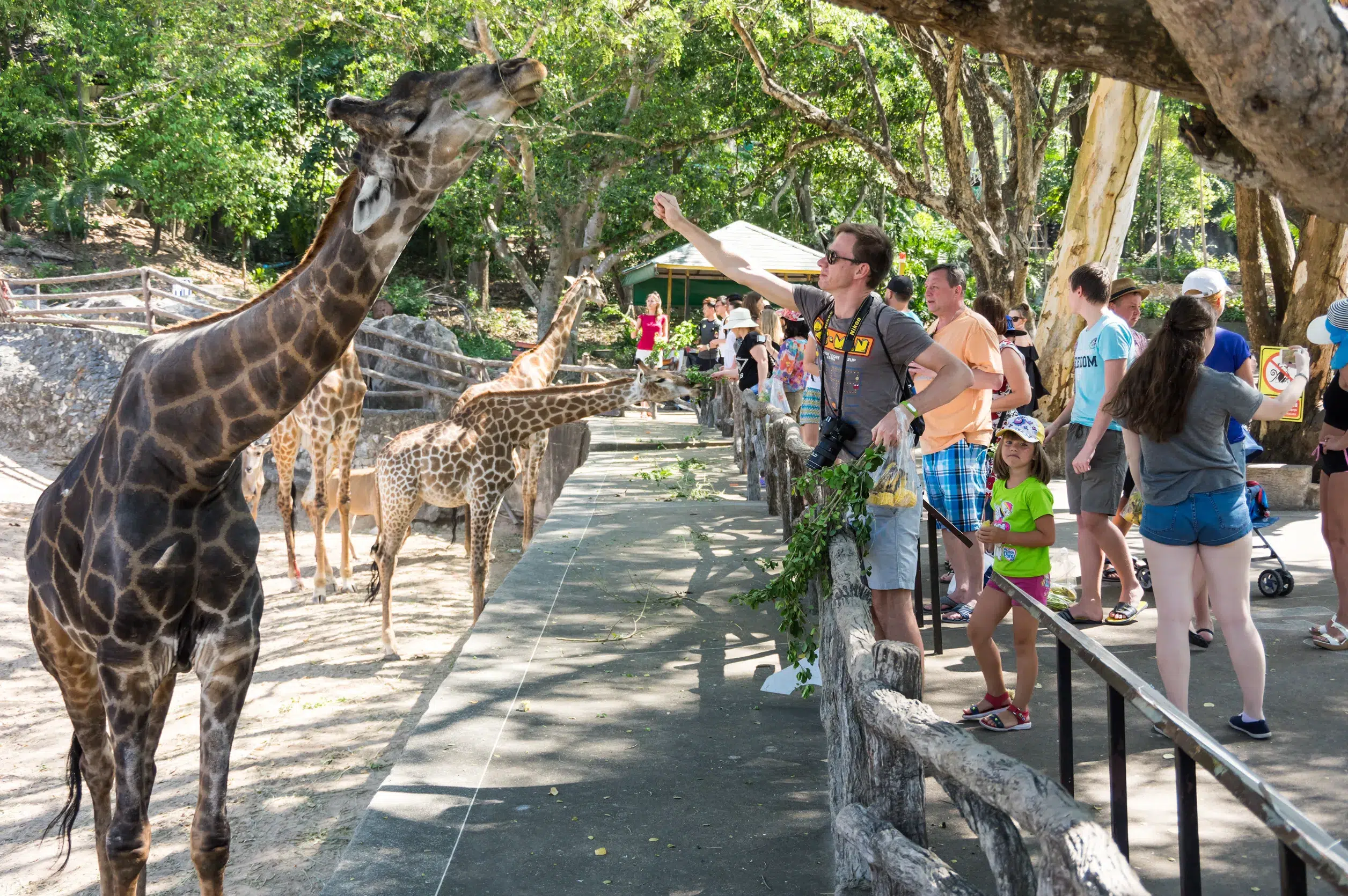 visiter un zoo