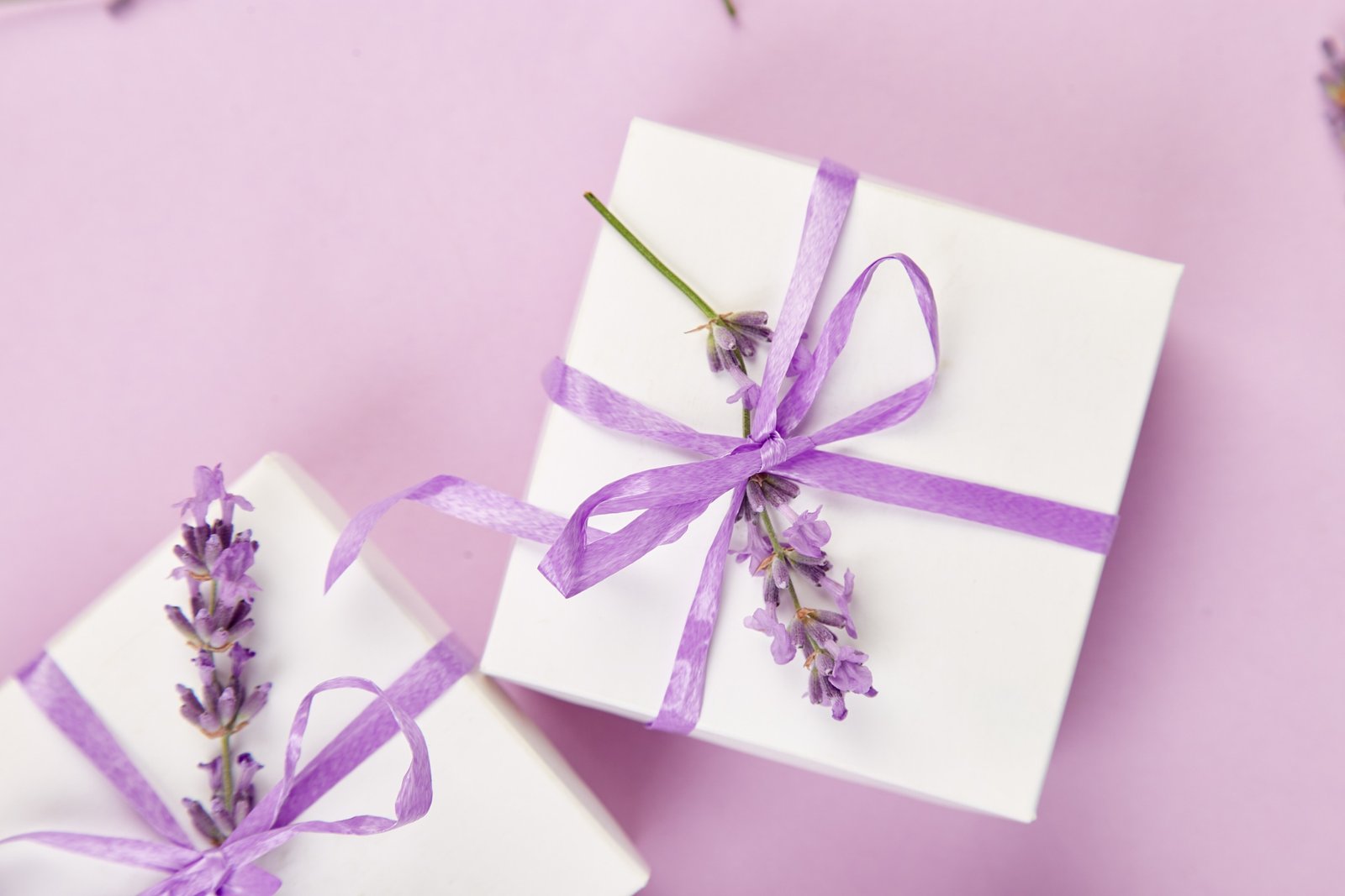 Coffret blanc avec ruban violet et bouquet de fleur de lavande sur fond rose