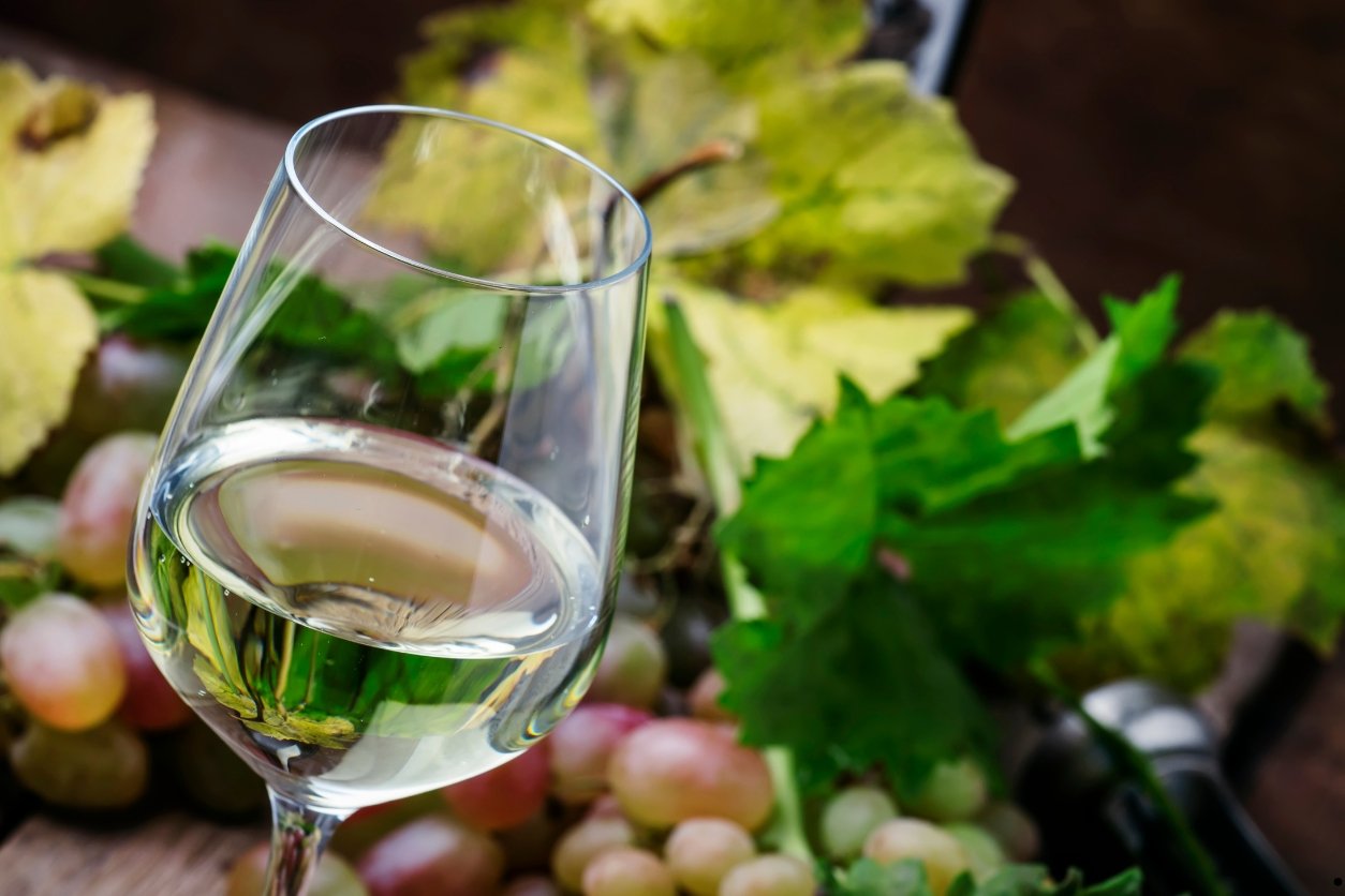 du vin blanc sec dans un verre à vin