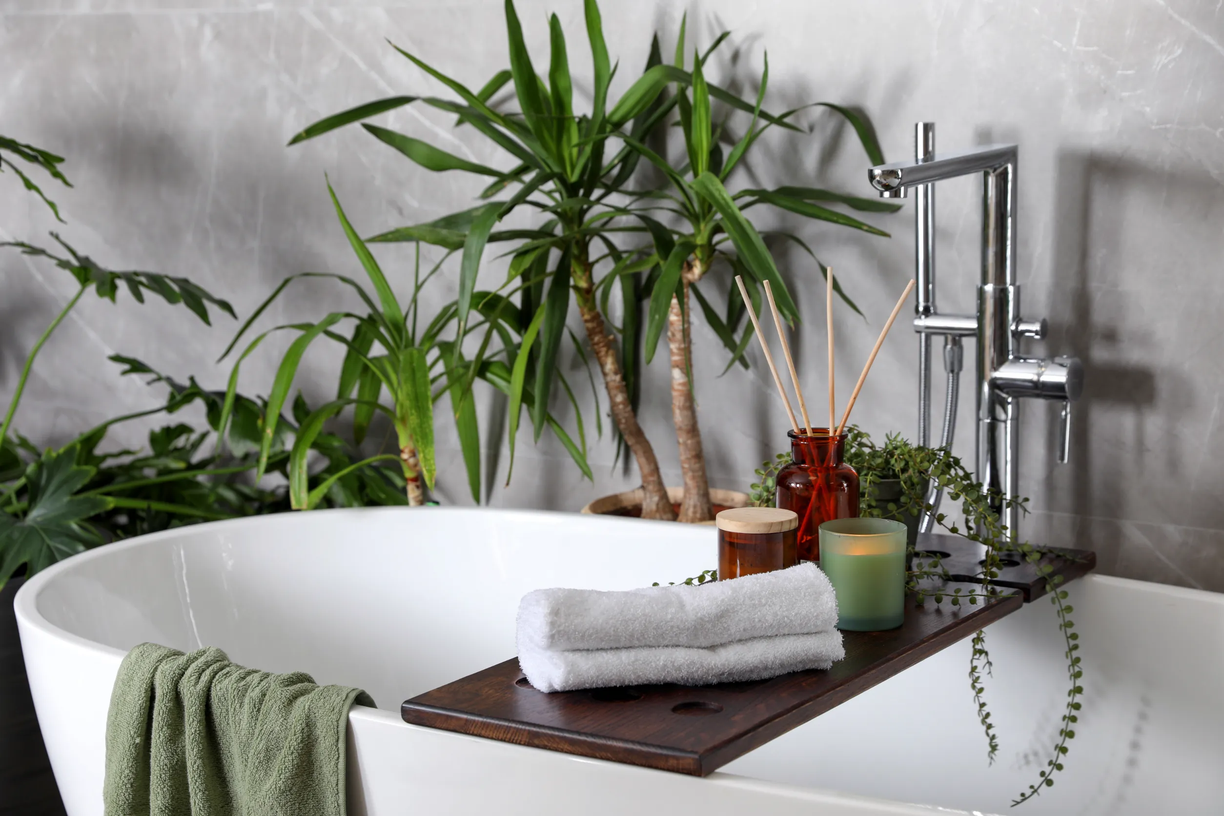 plantes de salle de bain