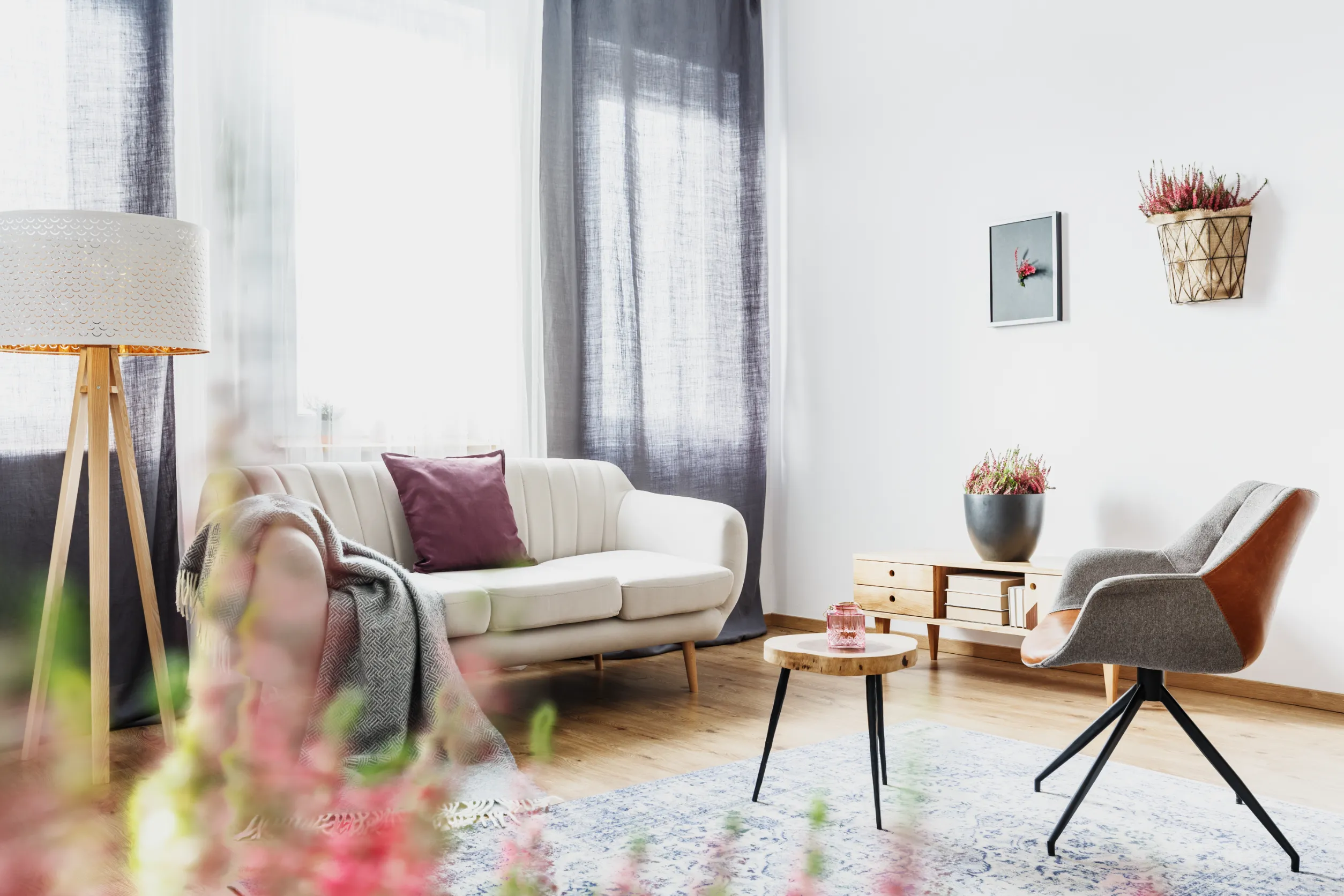 salon meublé - location meublée