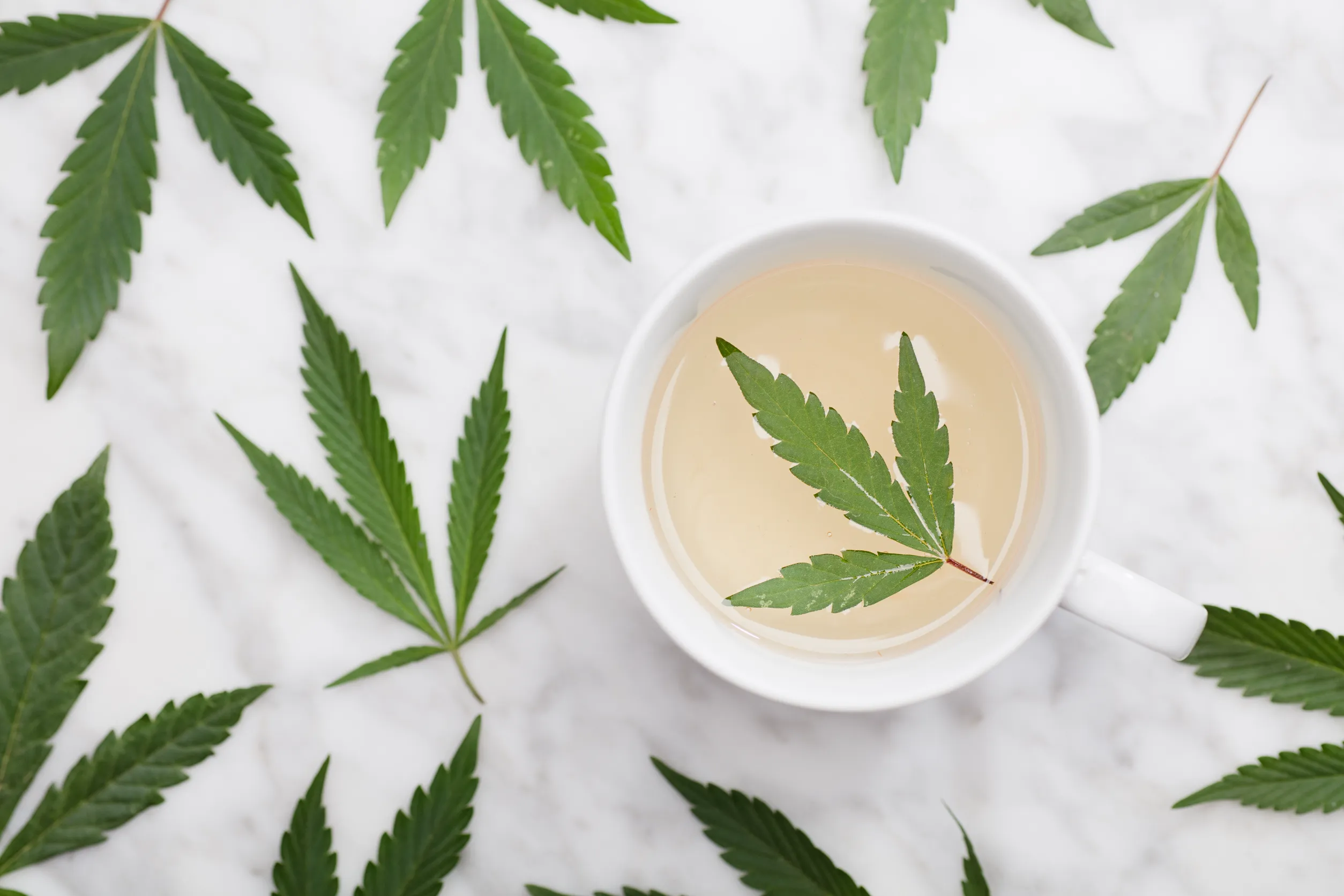 Tasse blanche avec infusion de CBD avec feuille verte à l'intérieur