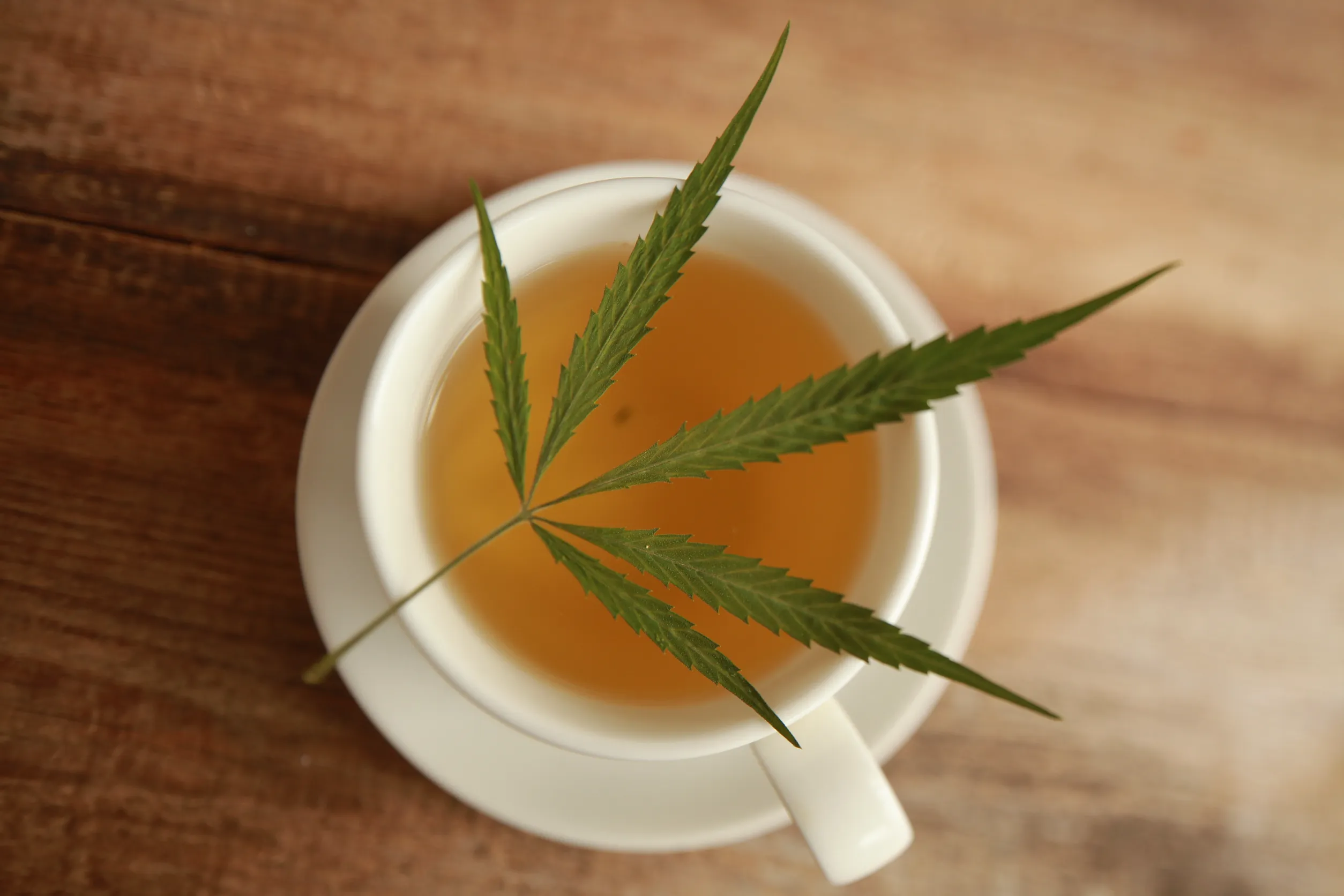 tasse blanche de thé de CBD