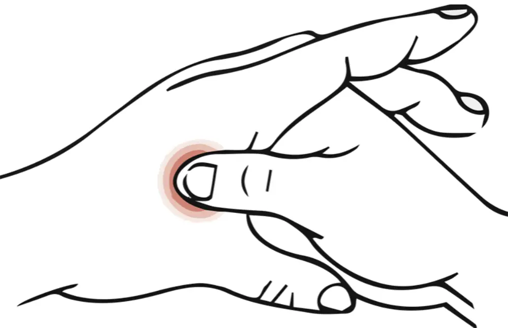 Point Hegu, point de pression entre le pouce et l'index