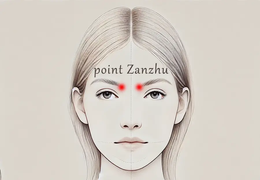 point de pression Zanzhu, à la base des sourcils