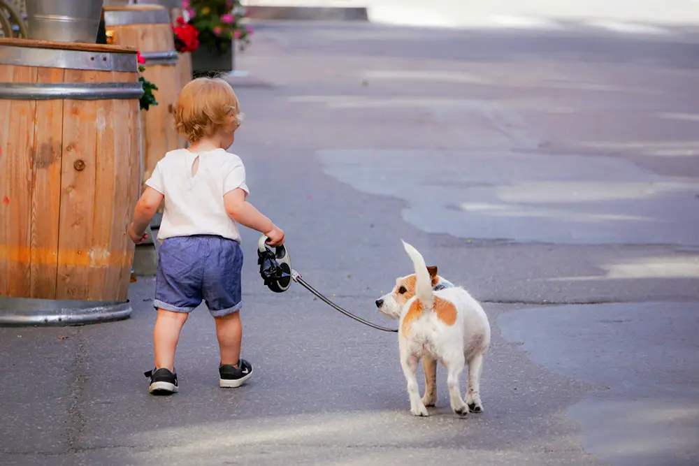 jeune enfant tenant en laisse son fox terrier dans la rue