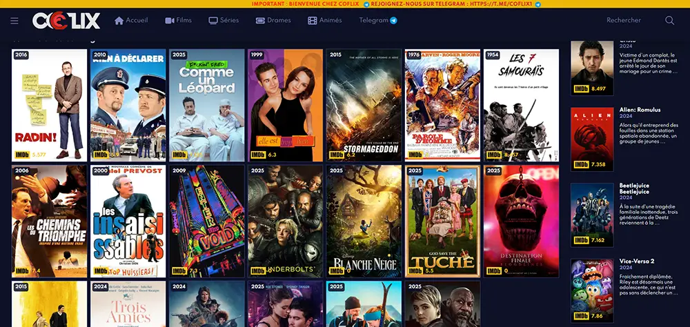 quelques films disponibles sur coflix 