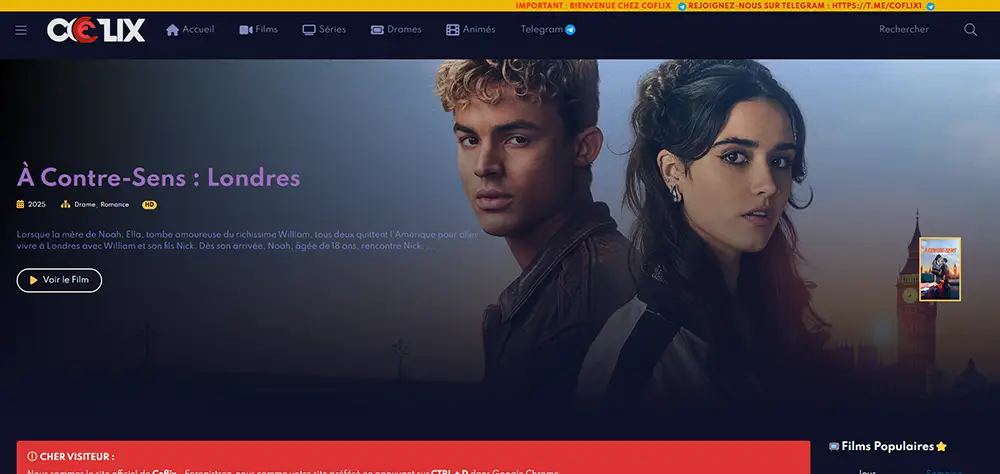 Capture d'écran du site de streaming Coflix