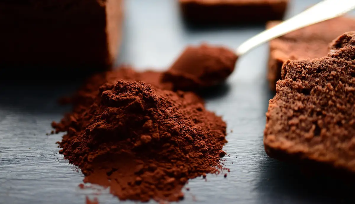 cacao en poudre