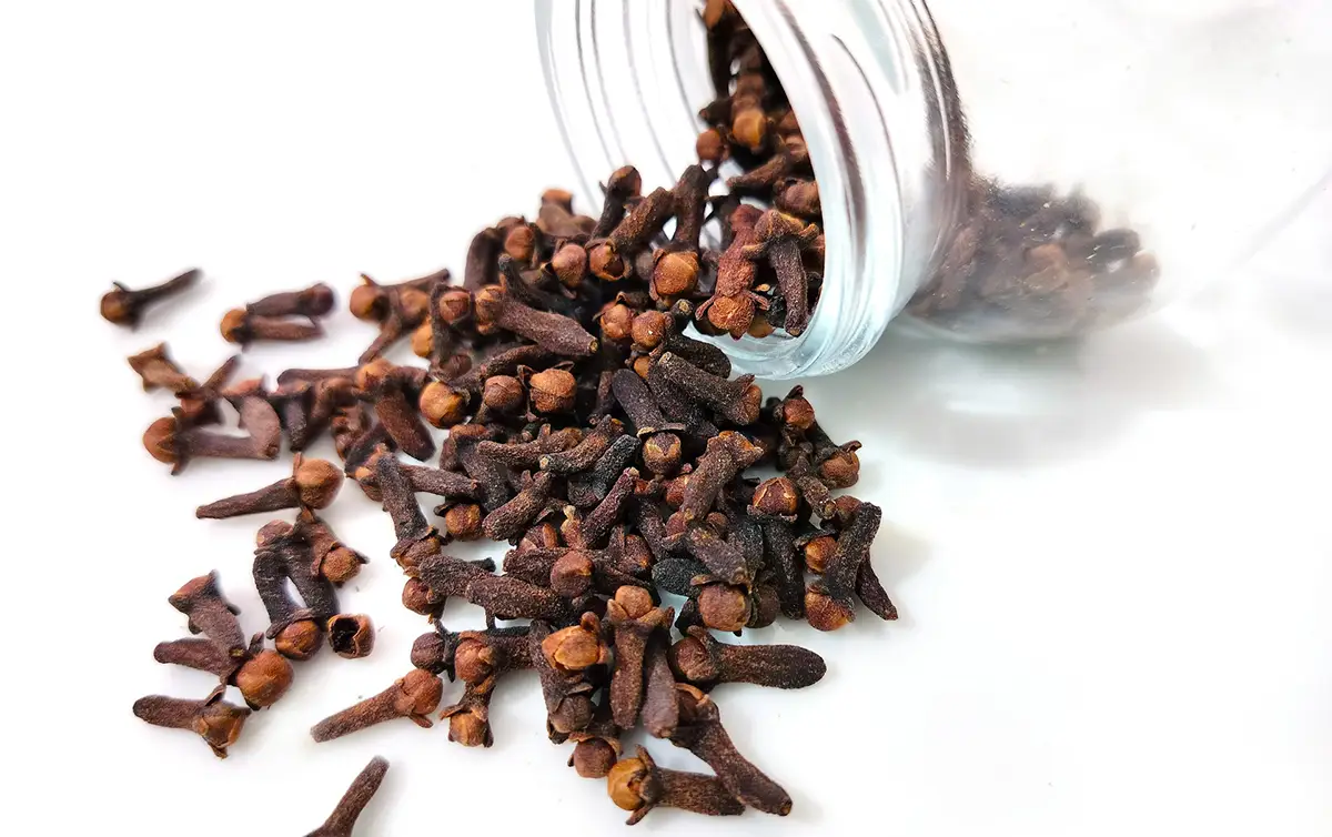 les clous de girofle, le champion des antioxydants
