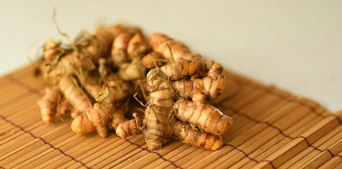 curcuma, épice racine riche en antioxydants