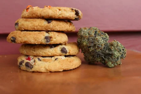 Le marché du “cannabis light” : ce qu’il faut savoir en 2026 cannabis light, cookies au cannabis