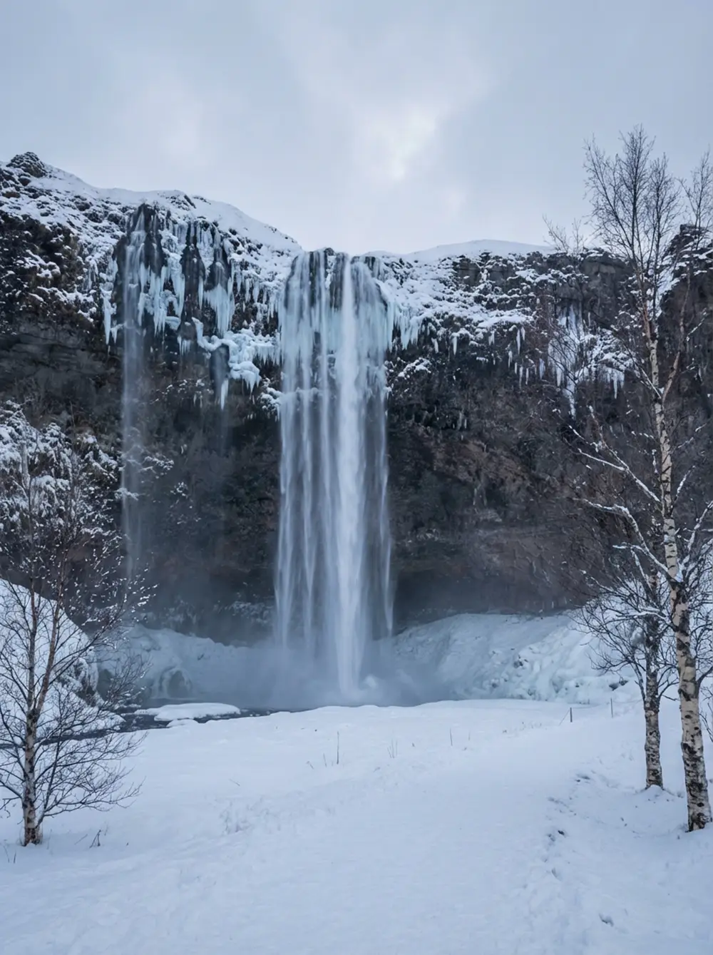 Cascade Seljalandsfoss en hiver avec formations de glace sur la falaise et neige au sol en Islande
