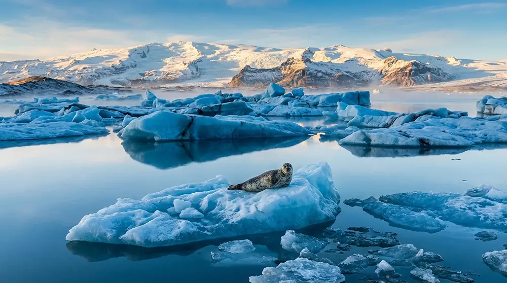 Icebergs bleus flottant sur la lagune glaciaire de Jökulsárlón avec le glacier Vatnajökull en arrière-plan en hiver