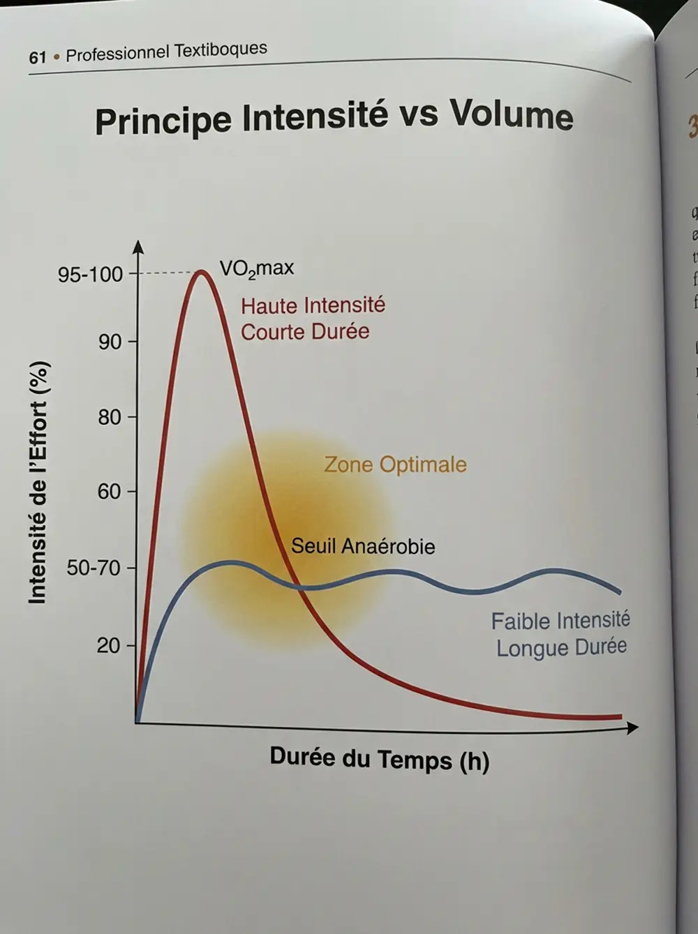 Diagramme scientifique pédagogique montrant graphique avec axe vertical intensité effort et axe horizontal durée temps, courbe rouge illustrant pic haute intensité courte durée, courbe bleue montrant faible intensité longue durée, zone optimale surlignée avec annotations VO2max et seuil anaérobie