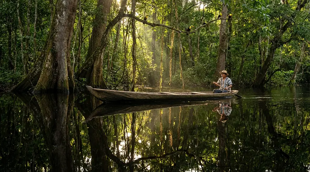 Pirogue traditionnelle naviguant dans la for&ecirc;t amazonienne inond&eacute;e de la r&eacute;serve de Cuyabeno